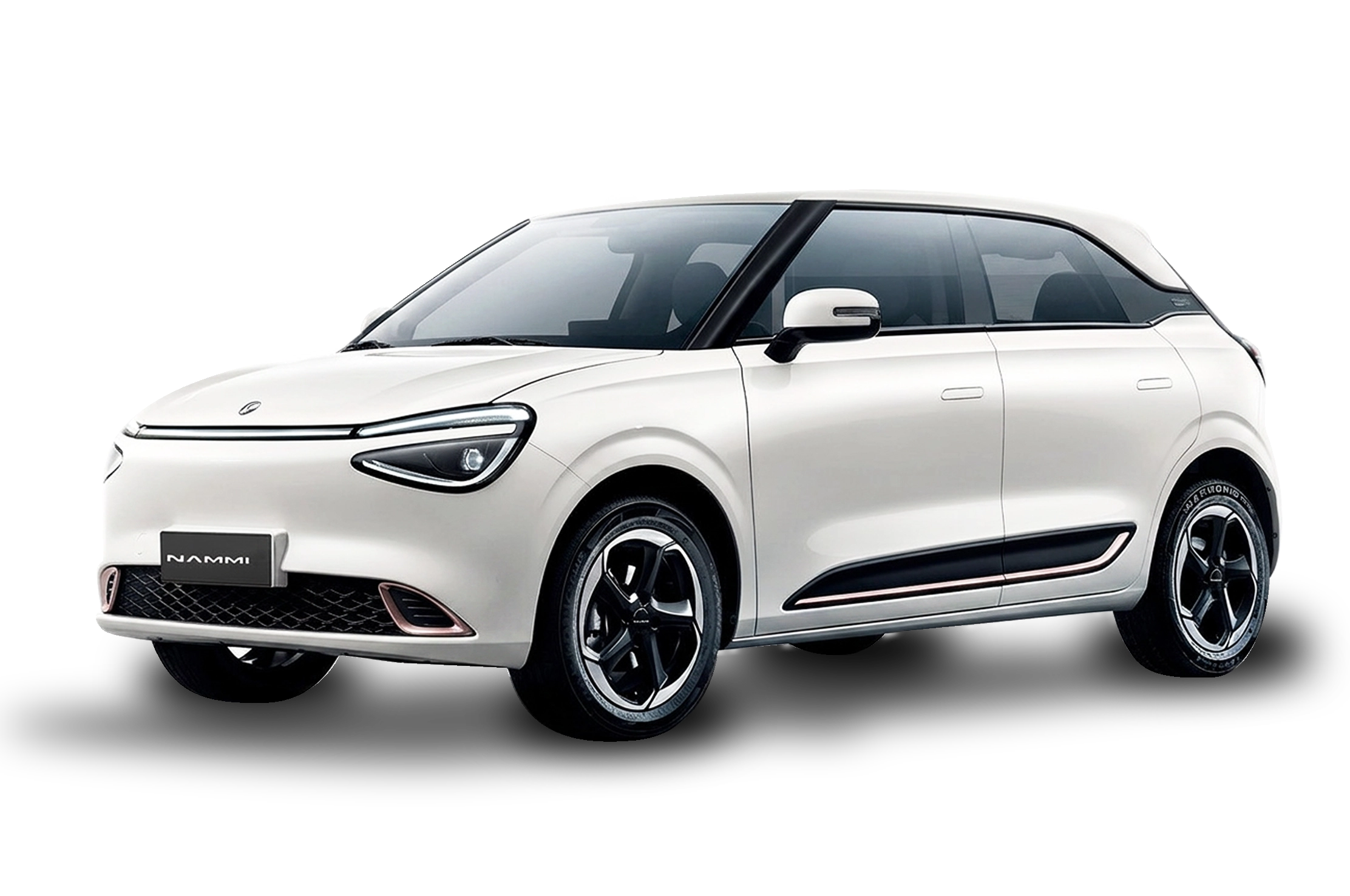 Dongfeng Nammi 2026